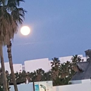 Meet your Posher, Ana